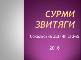 Сокальська ЗШ І-ІІІ ст.№5
2016
 