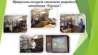 Віртуальна екскурсія стежками природного
заповідника “Горгани”.
 