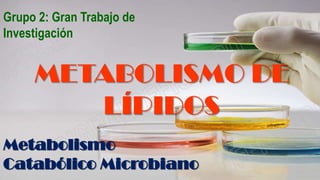Grupo 2: Gran Trabajo de
Investigación
METABOLISMO DE
LÍPIDOS
Metabolismo
Catabólico Microbiano
 