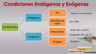 Condiciones
Endógenas
PH
Actividad de
agua
Exógenas
temperatura
Oxigeno
Condiciones Endógenas y Exógenas
Aeróbica
Aw=0.86
Próximo a su neutralidad
Rutas 7,8 y 45,6°C
Incubación 35 a 37 °C.
 