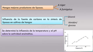 Hongos mejores productores de lipasas.
A niger
A fumigatus
Influencia de la fuente de carbono en la síntesis de
lipasas en cultivos de hongos
Glicerol
Almidón/
glucosa
Se determinó la influencia de la temperatura y el pH
sobre la actividad enzimática.
 