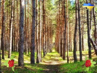 Чулаківська ЗОШ   користувач ПК 2016