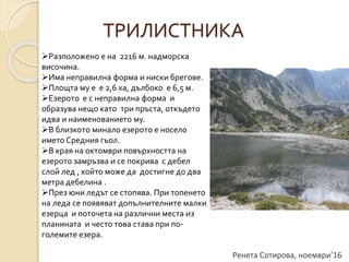 Ренета Сотирова, ноември’16
ТРИЛИСТНИКА
Разположено е на 2216 м. надморска
височина.
Има неправилна форма и ниски брегове.
Площта му е е 2,6 ха, дълбоко е 6,5 м.
Езерото е с неправилна форма и
образува нещо като три пръста, откъдето
идва и наименованието му.
В близкото минало езерото е носело
името Средния гьол.
В края на октомври повърхността на
езерото замръзва и се покрива с дебел
слой лед , който може да достигне до два
метра дебелина .
През юни ледът се стопява. При топенето
на леда се появяват допълнителните малки
езерца и поточета на различни места из
планината и често това става при по-
големите езера.
 