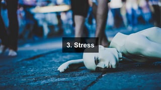 3. Stress
 