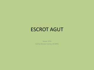 ESCROT AGUT
Gener 2016
Carme Alcover Comas, R1 MFiC
 