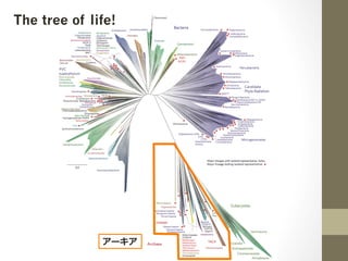 The tree of life!
アーキア
 
