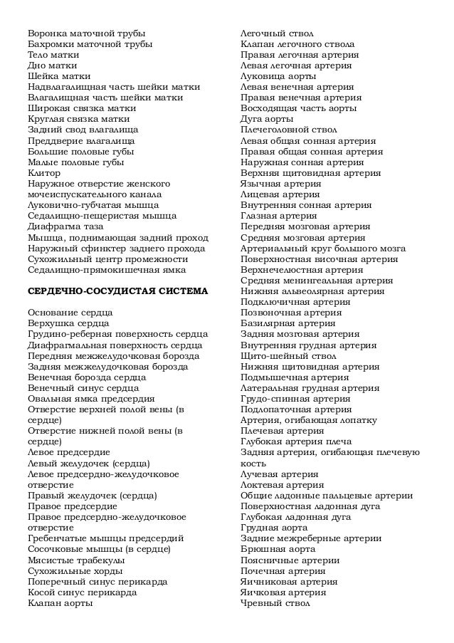 человек на латыни перевод