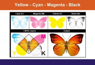 Yellow - Cyan - Magenta - Black
 