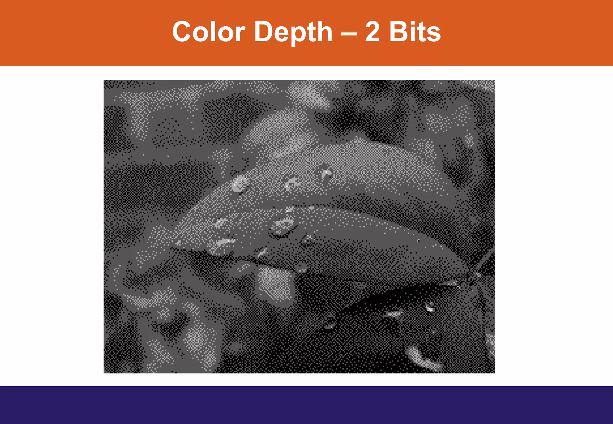 Color Depth – 2 Bits
 