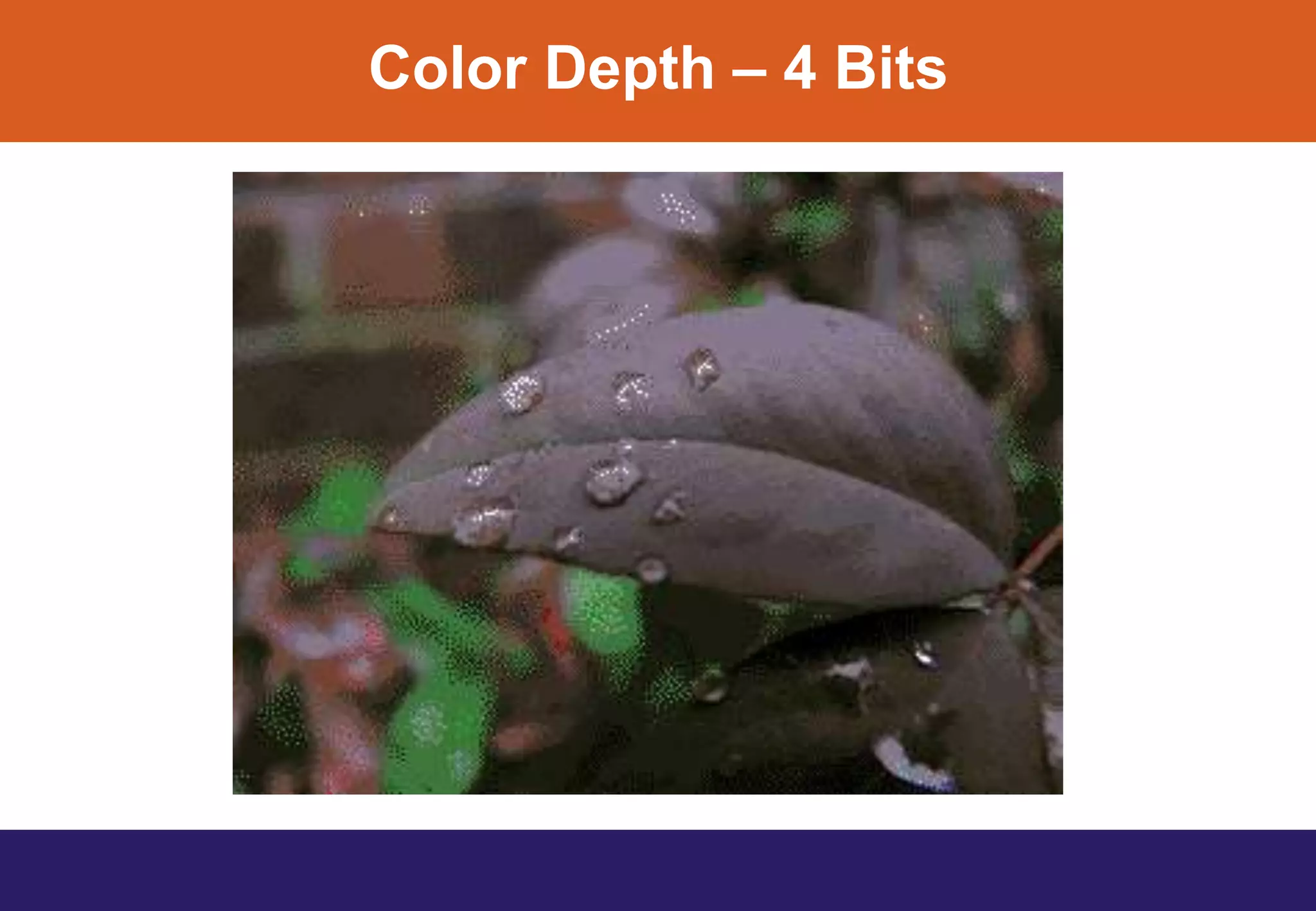 Color Depth – 4 Bits
 