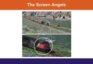 The Screen Angels
 