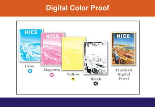 Digital Color Proof
 