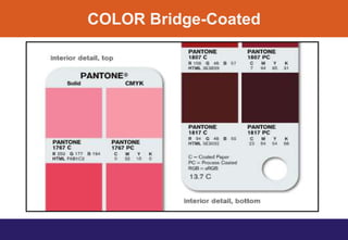 COLOR Bridge-Coated
 