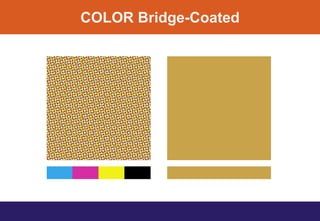 COLOR Bridge-Coated
 