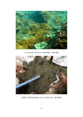94
三仙台北側(小島)有大片軟珊瑚覆蓋 - 蕭伊真攝
基翬水下覆蓋在珊瑚礁上達 1 公分厚的泥沙 - 蕭伊真攝
 