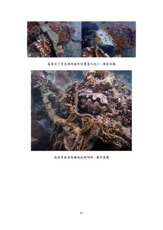 95
基翬水下常見珊瑚被布料覆蓋而死亡 - 陳泰佑攝
被漁業廢棄物纏繞的珊瑚礁 - 蕭伊真攝
 