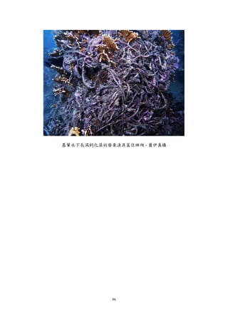 96
基翬水下長滿鈣化藻的廢棄漁具蓋住珊瑚 - 蕭伊真攝
 