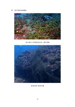 99
 番仔澳珊瑚礁體檢
番仔澳水下藻類覆蓋度高 - 蕭伊真攝
廢棄漁網 -陳泰佑攝
 