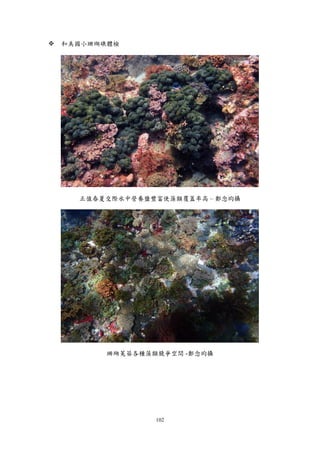 102
 和美國小珊瑚礁體檢
正值春夏交際水中營養鹽豐富使藻類覆蓋率高 – 鄭念昀攝
珊瑚菟葵各種藻類競爭空間 -鄭念昀攝
 