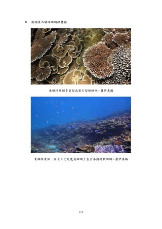 112
 澎湖東西嶼坪珊瑚礁體檢
東嶼坪東側多桌型或葉片型硬珊瑚 - 蕭伊真攝
東嶼坪東側，在大片已死鹿角珊瑚上長出各種硬軟珊瑚 - 蕭伊真攝
 