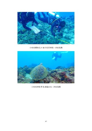 87
小琉球體檢志工進行底質調查 - 洪桂蓮攝
小琉球調查常見海龜出沒 - 洪桂蓮攝
 