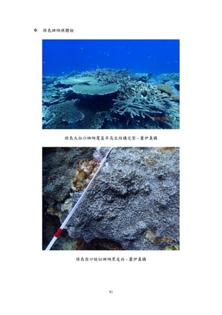 91
 綠島珊瑚礁體檢
綠島大白沙珊瑚覆蓋率高且結構完整 - 蕭伊真攝
綠島柴口疑似珊瑚黑皮病 - 蕭伊真攝
 