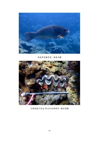 92
綠島常見鸚哥魚 – 陳泰佑攝
石朗深處可見近 20 公分的硨磲貝 - 蕭伊真攝
 