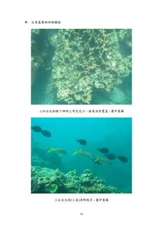 93
 台東基翬珊瑚礁體檢
三仙台北側橋下珊瑚上常見泥沙、廢棄漁具覆蓋 - 蕭伊真攝
三仙台北側(小島)魚群較多 - 蕭伊真攝
 