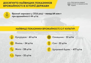 Міністерство аграрної
політики та продовольства
України
ДОСЯГНУТО НАЙВИЩИХ ПОКАЗНИКІВ
ВРОЖАЙНОСТІ В ІСТОРІЇ ДЕРЖАВИ
Врожай зернових у 2016 році – понад 64 млн т
при врожайності 44 ц/га
НАЙВИЩІ ПОКАЗНИКИ ВРОЖАЙНОСТІ С/Г КУЛЬТУР:
Кукурудза - 63 ц/га
Ячмінь - 34 ц/га
Жито - 28 ц/га
Горох - 32 ц/га
Соняшник - 22 ц/га
Соя - 22 ц/га
Цукровий буряк - 477 ц/га
 