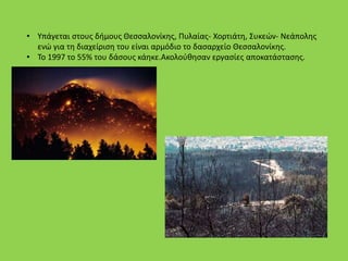 • Υπάγεται στους δήμους Θεσσαλονίκης, Πυλαίας- Χορτιάτη, Συκεών- Νεάπολης
ενώ για τη διαχείριση του είναι αρμόδιο το δασαρχείο Θεσσαλονίκης.
• Το 1997 το 55% του δάσους κάηκε.Ακολούθησαν εργασίες αποκατάστασης.
 