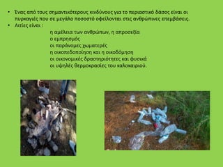 • Ένας από τους σημαντικότερους κινδύνους για το περιαστικό δάσος είναι οι
πυρκαγιές που σε μεγάλο ποσοστό οφείλονται στις ανθρώπινες επεμβάσεις.
• Αιτίες είναι :
η αμέλεια των ανθρώπων, η απροσεξία
ο εμπρησμός
οι παράνομες χωματερές
η οικοπεδοποίηση και η οικοδόμηση
οι οικονομικές δραστηριότητες και φυσικά
οι υψηλές θερμοκρασίες του καλοκαιριού.
 