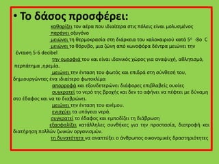 • Το δάσος προσφέρει:
καθαρίζει τον αέρα που ιδιαίτερα στις πόλεις είναι μολυσμένος
παράγει οξυγόνο
μειώνει τη θερμοκρασία στη διάρκεια του καλοκαιριού κατά 5ο -8ο C
μειώνει το θόρυβο, μια ζώνη από κωνοφόρα δέντρα μειώνει την
ένταση 5-6 decibel
την ομορφιά του και είναι ιδανικός χώρος για αναψυχή, αθλητισμό,
περπάτημα ,ηρεμία.
μειώνει την ένταση του φωτός και επιδρά στη σύνθεσή του,
δημιουργώντας ένα ιδιαίτερο φωτοκλίμα
απορροφά και εξουδετερώνει διάφορες επιβλαβείς ουσίες
συγκρατεί το νερό της βροχής και δεν το αφήνει να πέφτει με δύναμη
στο έδαφος και να το διαβρώνει.
μειώνει την ένταση του ανέμου.
ενισχύει τα υπόγεια νερά.
συγκρατεί το έδαφος και εμποδίζει τη διάβρωση
εξασφαλίζει κατάλληλες συνθήκες για την προστασία, διατροφή και
διατήρηση πολλών ζωικών οργανισμών.
τη δυνατότητα να αναπτύξει ο άνθρωπος οικονομικές δραστηριότητες
 