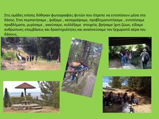 Στις ομάδες επίσης δόθηκαν φωτογραφίες φυτών που έπρεπε να εντοπίσουν μέσα στο
δάσος. Έτσι περπατήσαμε , ψάξαμε , καταγράψαμε, προβληματιστήκαμε , εντοπίσαμε
προβλήματα, μυρίσαμε , ακούσαμε, συλλέξαμε στοιχεία, βρήκαμε ίχνη ζώων, είδαμε
ανθρώπινες επεμβάσεις και δραστηριότητες και αναπνεύσαμε τον ξεχωριστό αέρα του
δάσους.
 