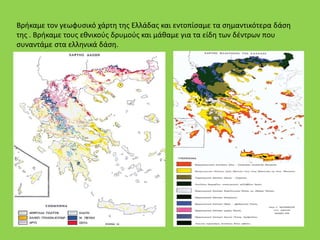 Βρήκαμε τον γεωφυσικό χάρτη της Ελλάδας και εντοπίσαμε τα σημαντικότερα δάση
της . Βρήκαμε τους εθνικούς δρυμούς και μάθαμε για τα είδη των δέντρων που
συναντάμε στα ελληνικά δάση.
 