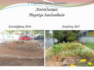 3ο Γυμνάσιο Αγίου Δημητρίου
Αποτέλεσμα:
Παρτέρι λουλουδιών
Σεπτέμβριος 2016 Απρίλιος 2017
 