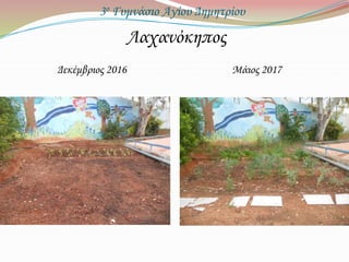 3ο Γυμνάσιο Αγίου Δημητρίου
Λαχανόκηπος
Δεκέμβριος 2016 Μάιος 2017
 