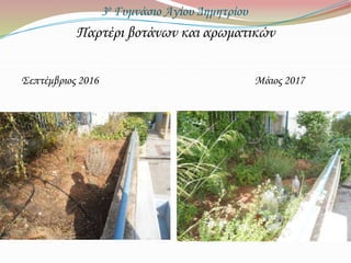 3ο Γυμνάσιο Αγίου Δημητρίου
Παρτέρι βοτάνων και αρωματικών
Σεπτέμβριος 2016 Μάιος 2017
 