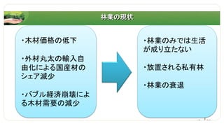 林業の現状
・木材価格の低下
・外材丸太の輸入自
由化による国産材の
シェア減少
・バブル経済崩壊によ
る木材需要の減少
・林業のみでは生活
が成り立たない
・放置される私有林
・林業の衰退
 