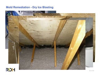 29 of 85
Mold Remediation - Dry Ice Blasting
 