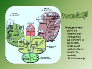Определение –
включва
подвижни и
неподвижни
едноклетъчни
организми,
които имат
наследствено
вещество,
но нямат
обособено ядро
 