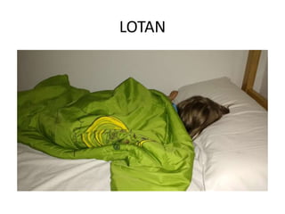 LOTAN
 