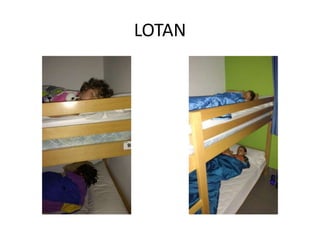 LOTAN
 