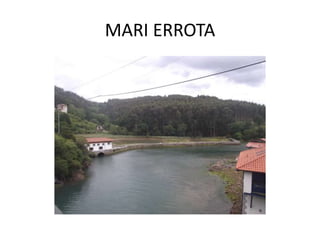 MARI ERROTA
 