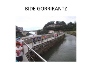 BIDE GORRIRANTZ
 