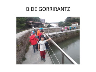 BIDE GORRIRANTZ
 