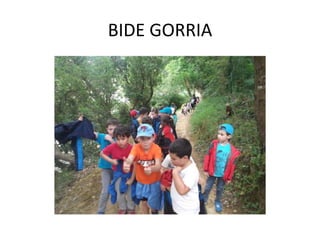 BIDE GORRIA
 