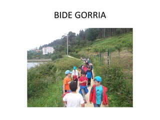 BIDE GORRIA
 