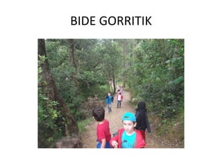 BIDE GORRITIK
 