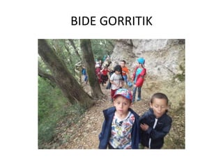 BIDE GORRITIK
 