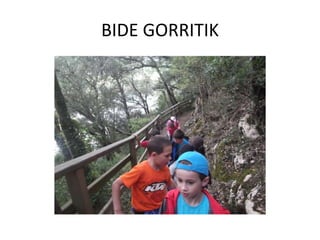 BIDE GORRITIK
 